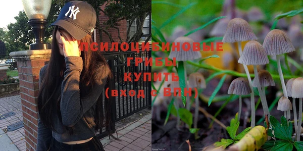 эйфоретик Корсаков