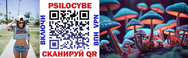 Купить  Котельнич  Галлюциногенные грибы Psilocybine cubensis 