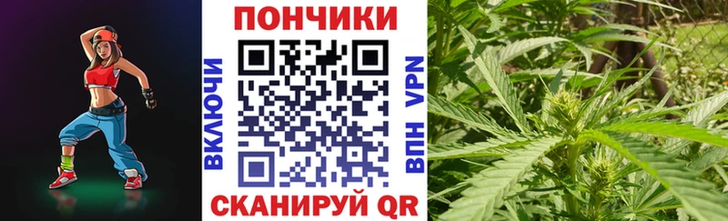Конопля планчик  Купить закладки  Котельнич 